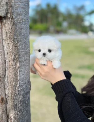 LUCKY