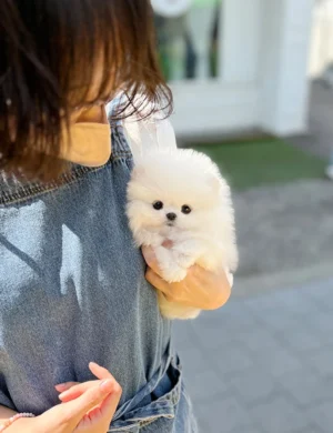 LUNA